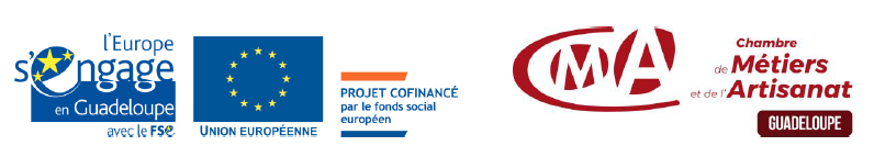 logo_fse_europe_cmar971.png